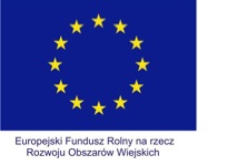 flaga-UE